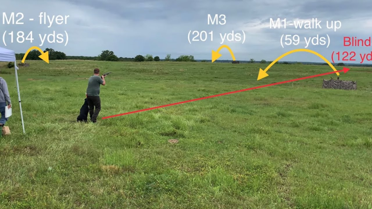 Sooner AKC Master Hunt test (all 3 series) tough test - Buck’s 2nd MH test