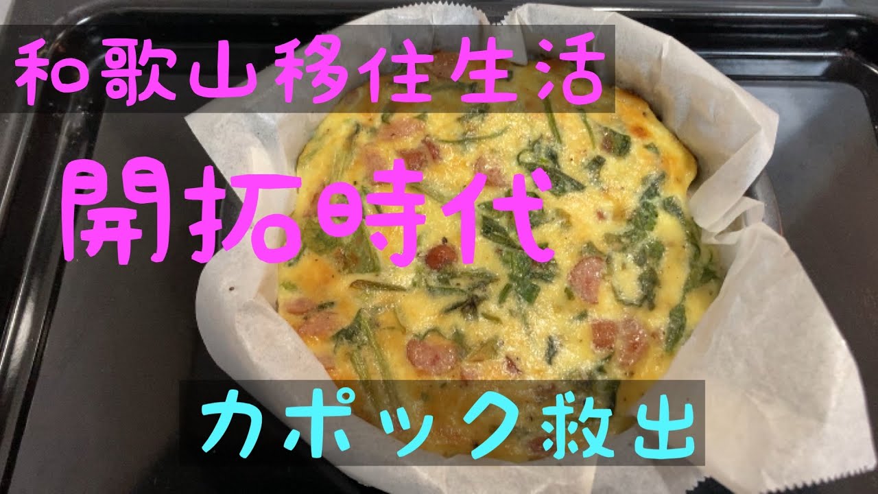 移住前開拓とカポック救出。キッシュを焼きました。和歌山移住生活自己満足