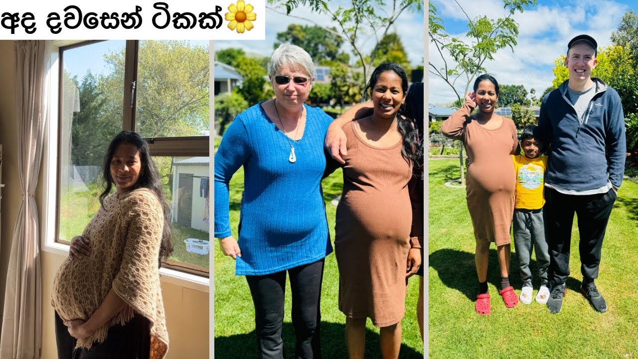 අද දවසෙන් ටිකක්🌼 New Zealand