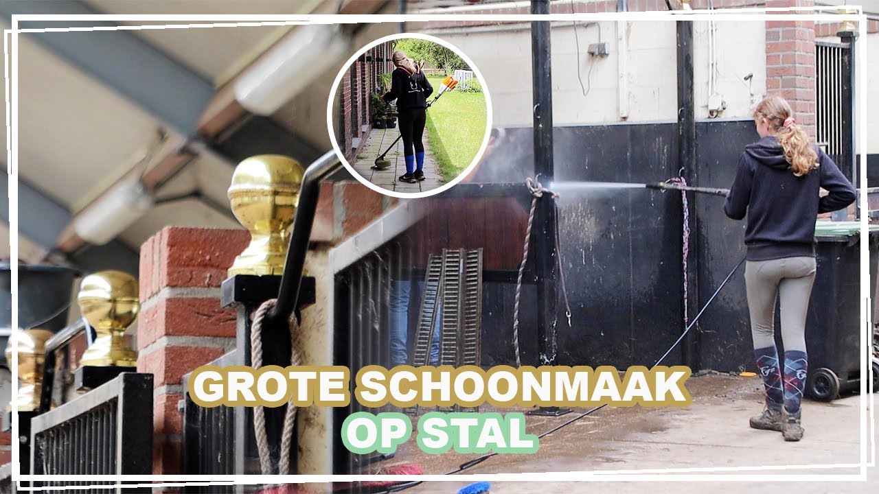 GROTE SCHOONMAAK OP STAL! || Paardzoektbaas