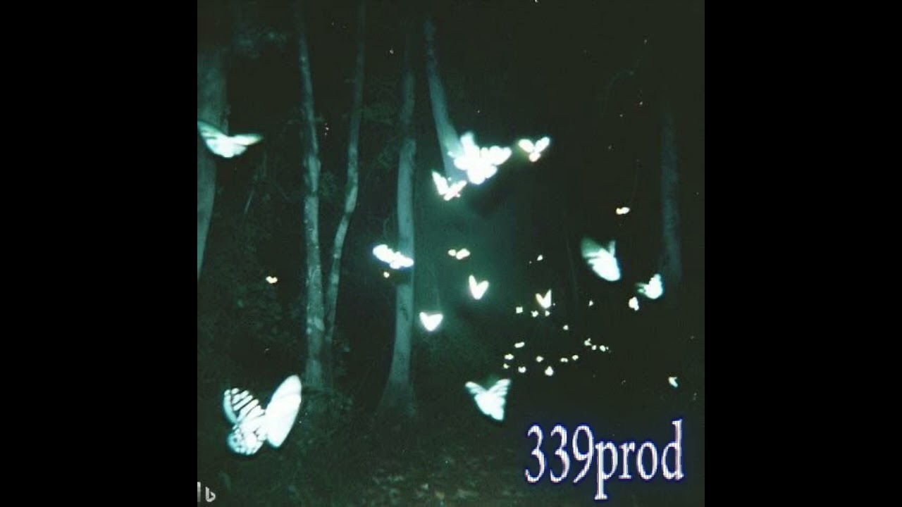 butterflies (prod.339)