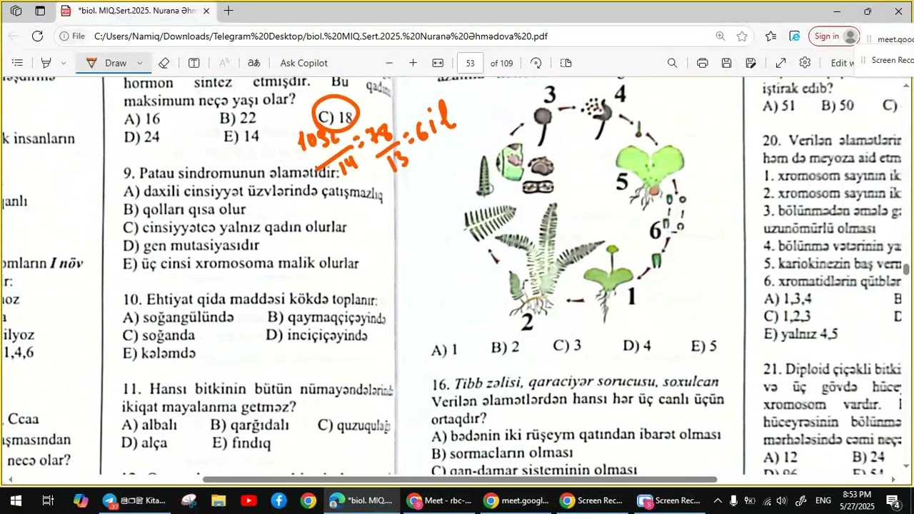 Sınaq 20 (abc)