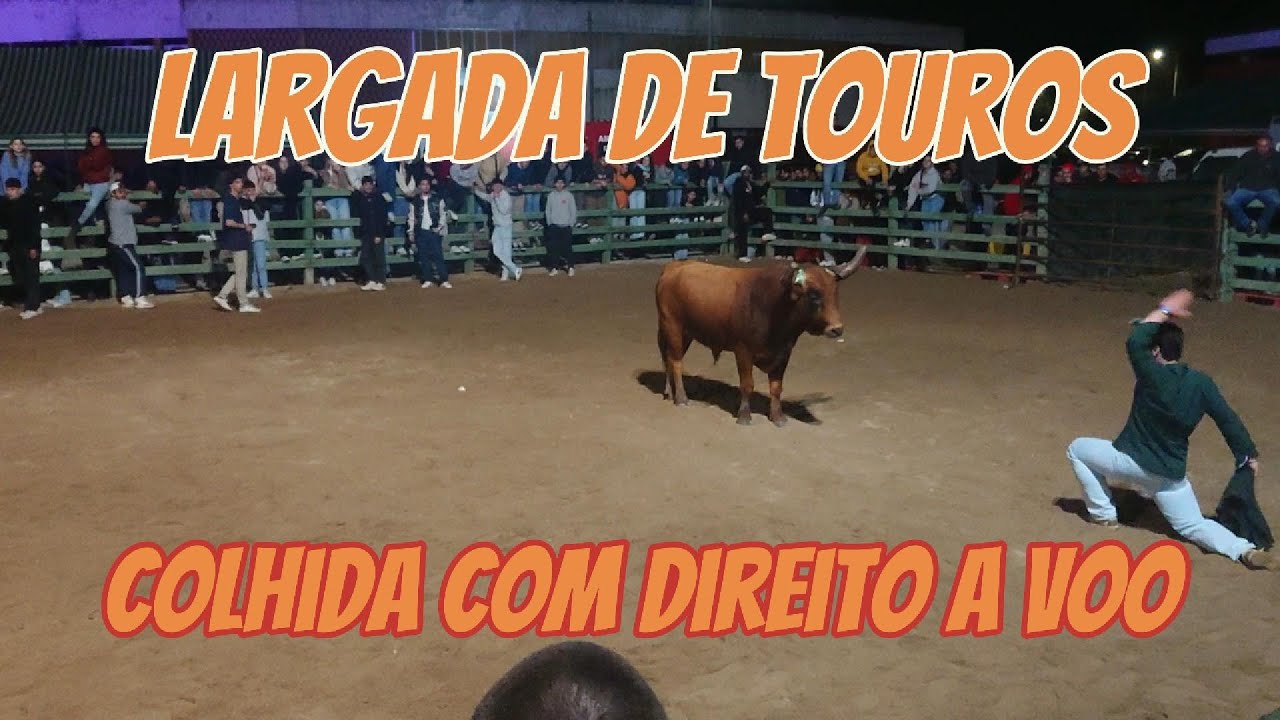 LARGADA de TOUROS - Último toiro das FESTAS de SÃO JOSÉ