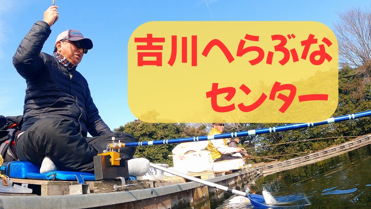 へらぶな釣り動画です。お久しぶりの吉川へらぶなセンターでの動画です🎣　埼玉県　吉川市