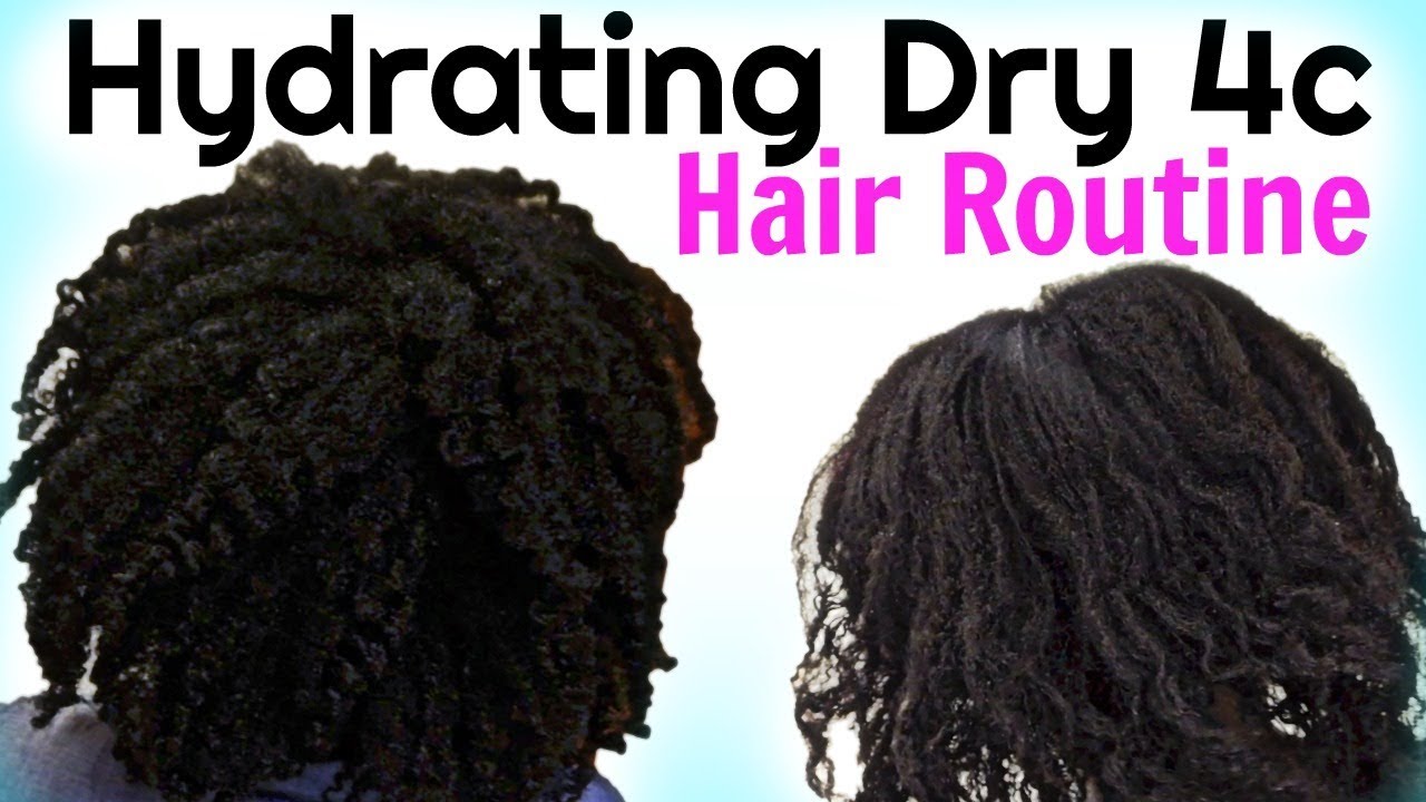 How To MOISTURIZE DRY Natural HAIR To Maximum Hydration