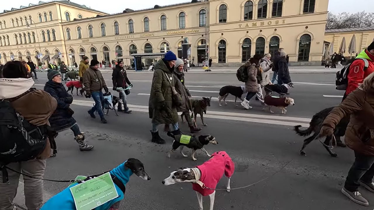 Münchner Galgomarsch 2026