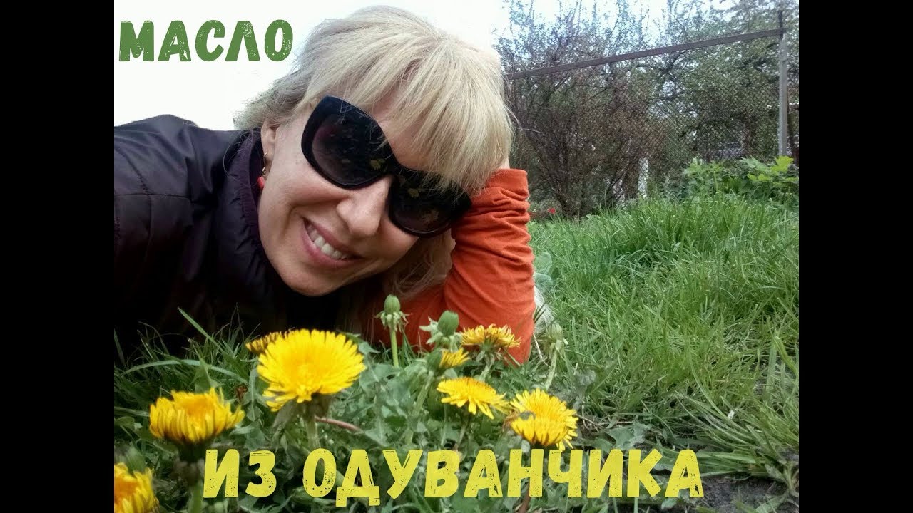 Масло из одуванчика на все случаи жизни..