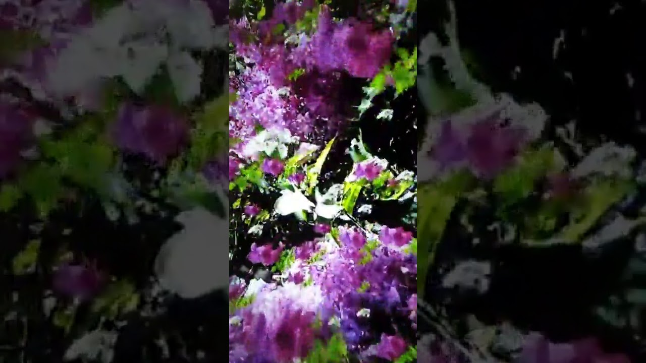 Құралай ханым 21.03.20 2часть