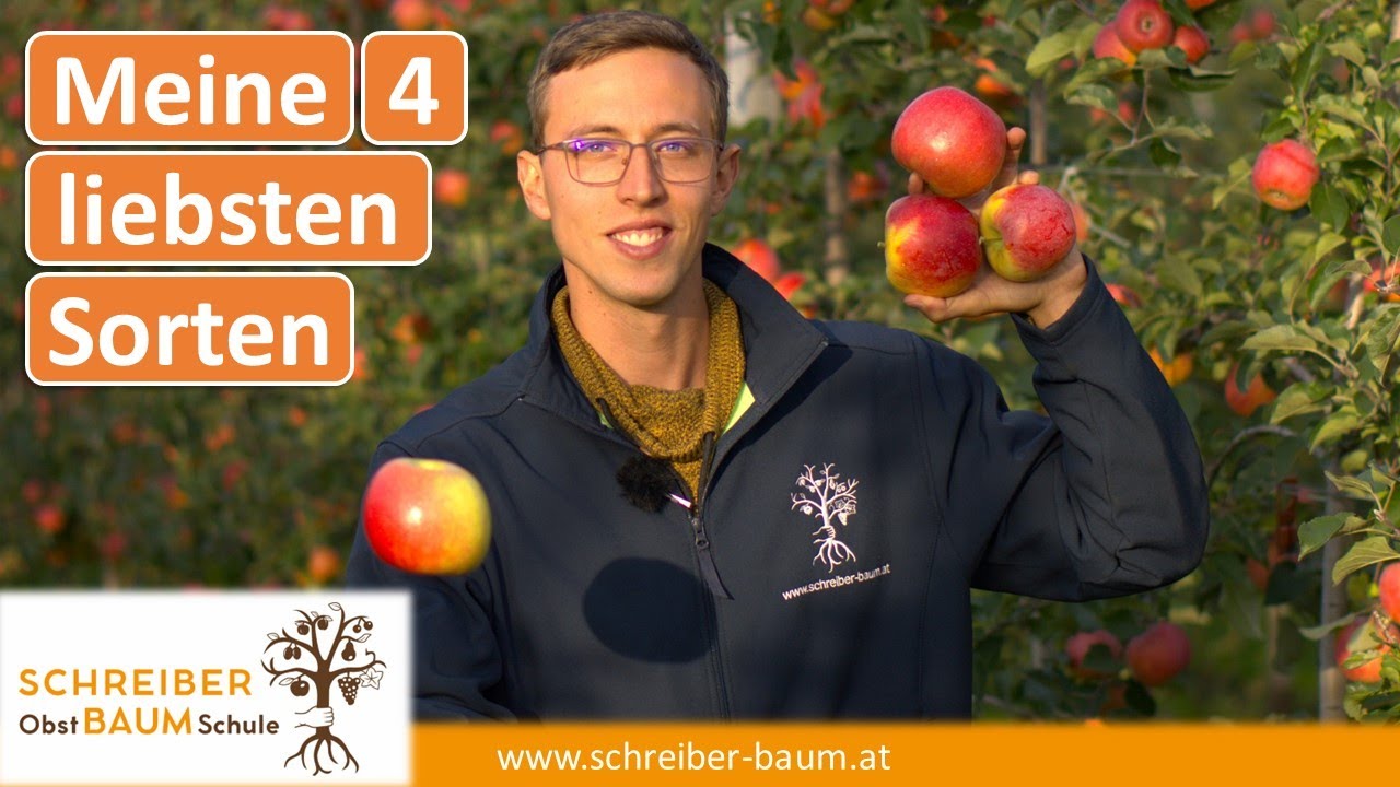 Meine 4 liebsten Apfelsorten für den Winter! Vanessa, Sissi, Brilliant und Festina