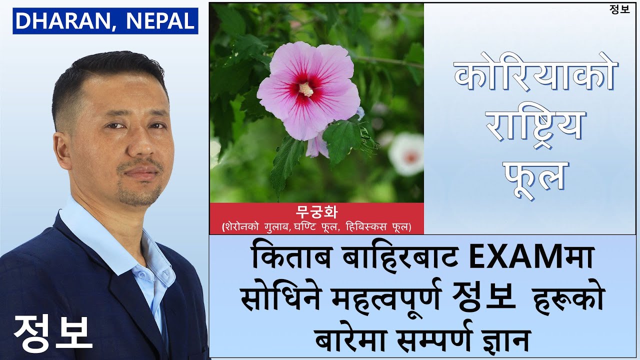 Korean National Flower - 무궁화 || 정보 || Video-2 || Learn Korean Video with Mohan Nembang Sir || Dharan