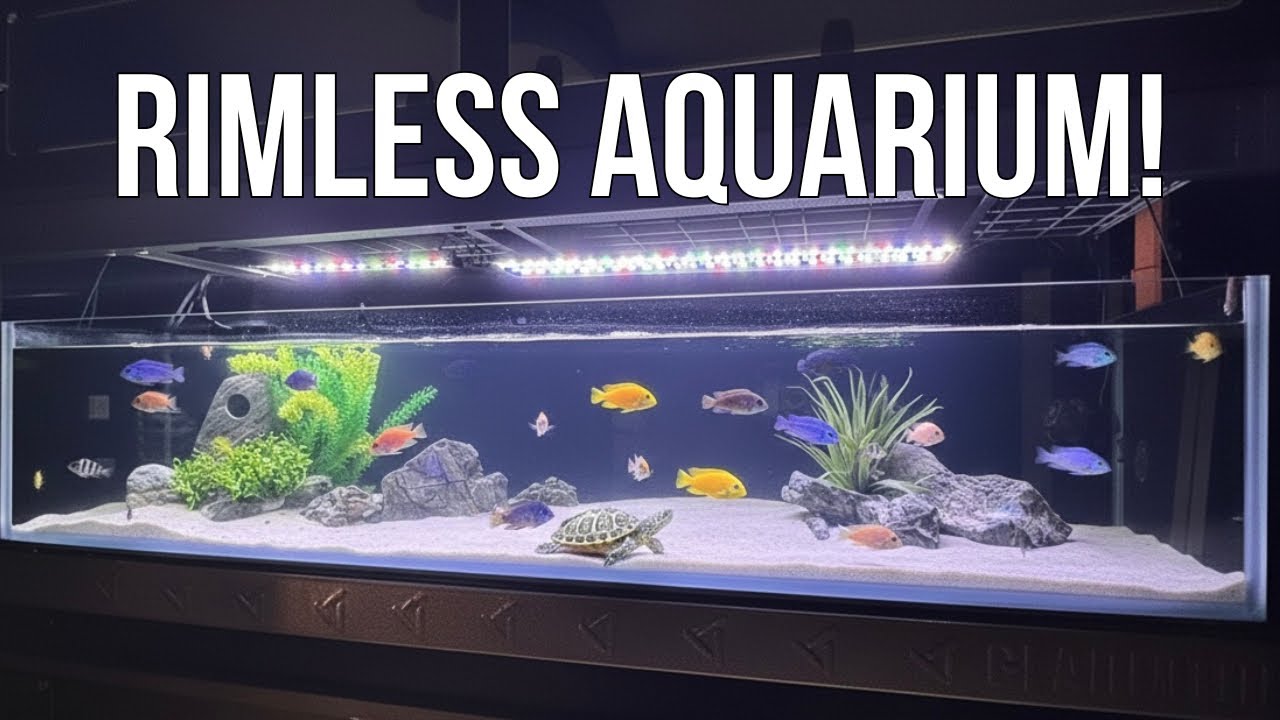 Rimless Low Iron Aquarium (Miracles Aquariums)