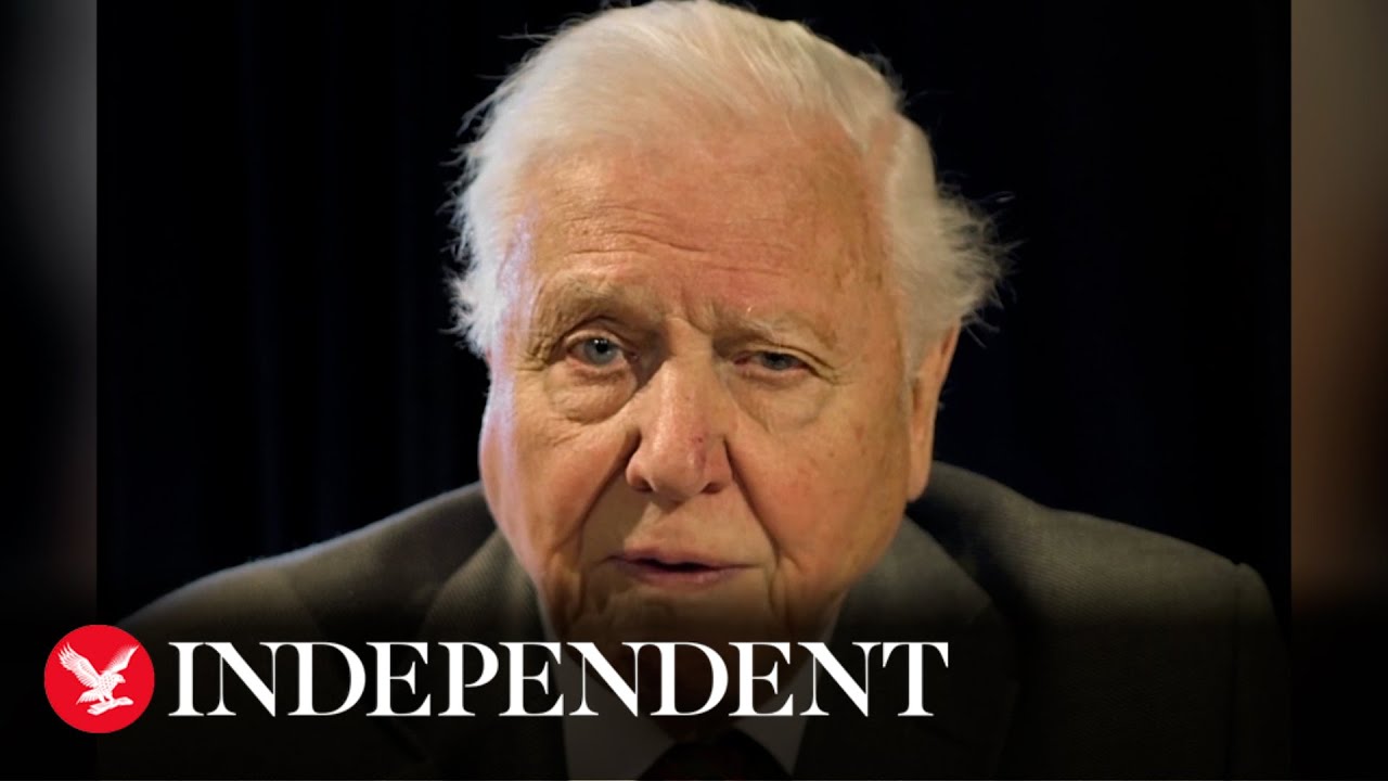 Attenborough addresses world leaders as G7 summit draws to close