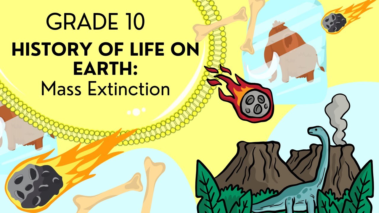 INTRO to Mass extinctions | EASY to understand