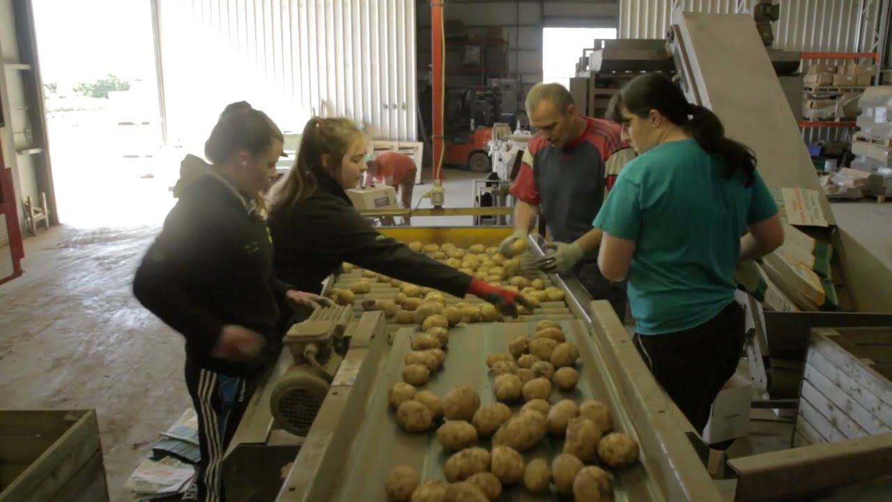 FAO International Year of the Family Farm: The Flynn Family