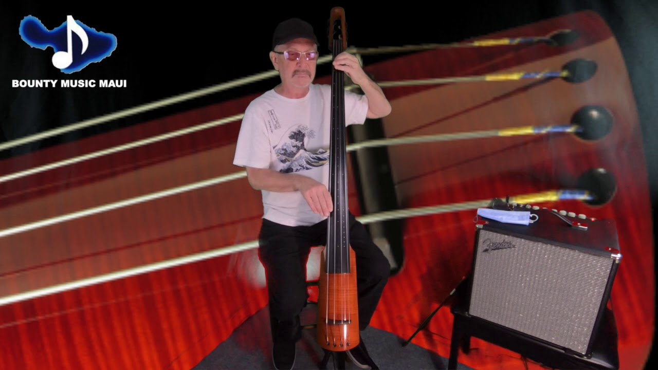 Marcus Johnson w/ NS Design WAV4 Bass @ Bounty Music