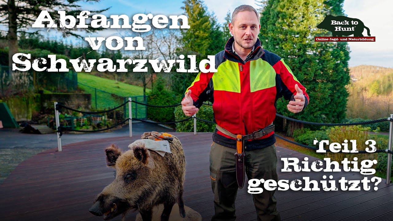 Abfangen von Schwarzwild | Teil 3: Richtig geschützt?