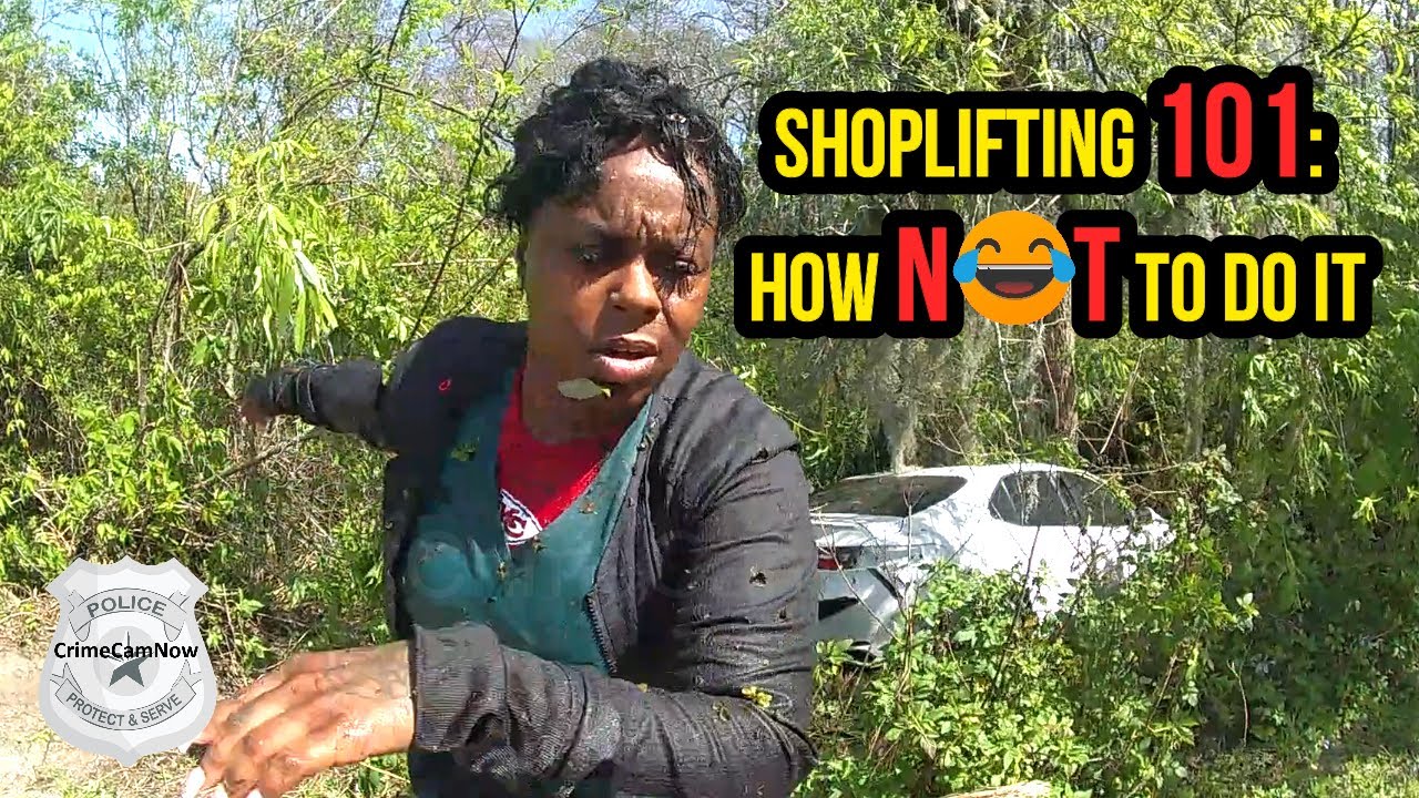 Shoplifting Trio High-Speed Chase Ends in Retention Pond