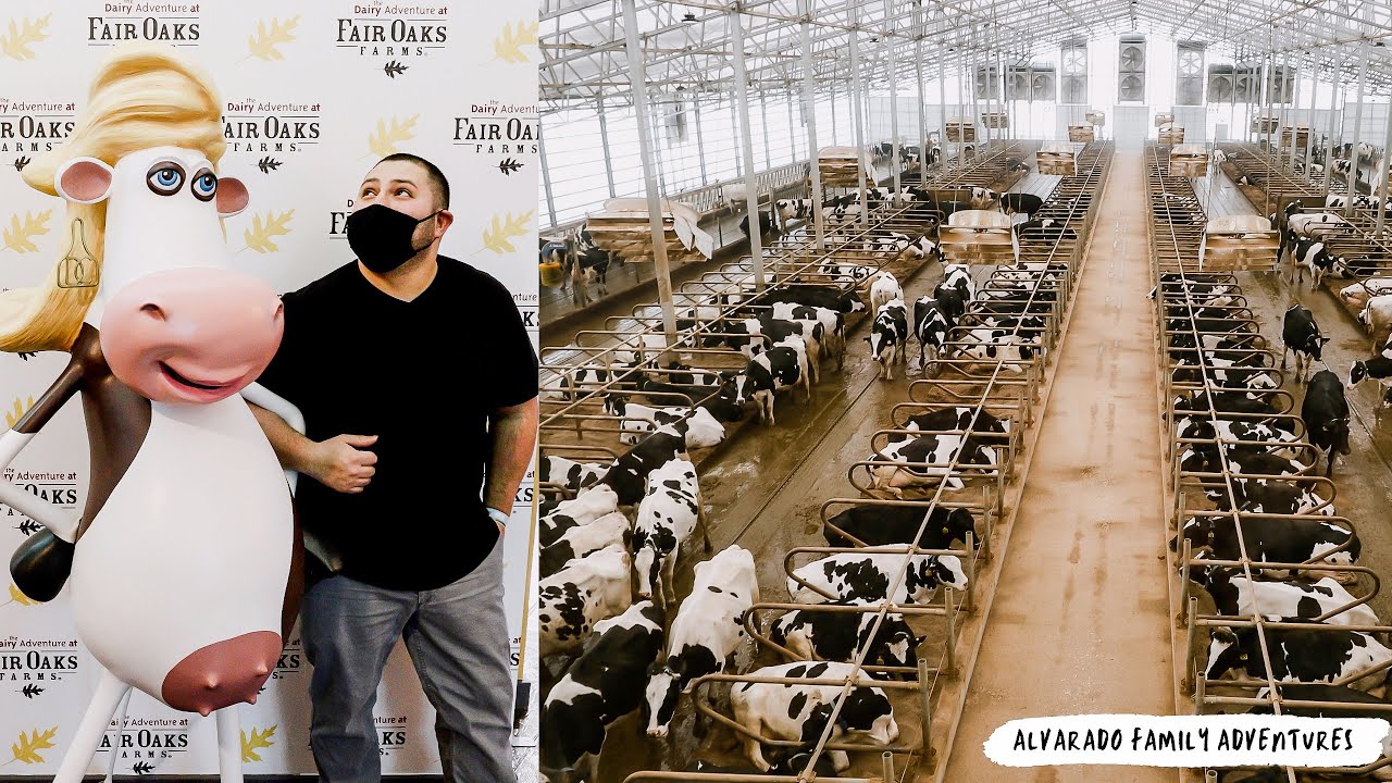 Fair Oaks Farms | Alvarado Family Adventures |  I did not expect to see this....WOW!!!