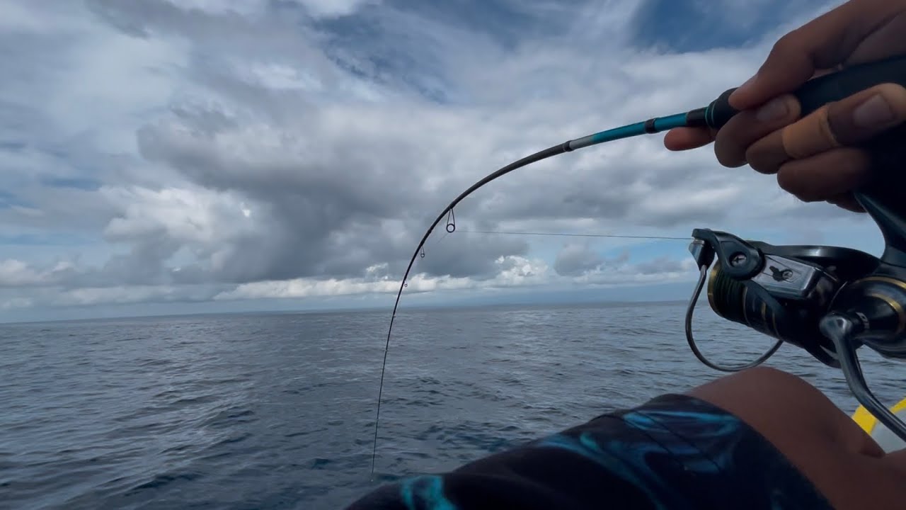 STRIKE PERDANA DI MUSIM PENGHUJAN | LANGSUNG DI SAMBUT IKAN SULTAN‼️