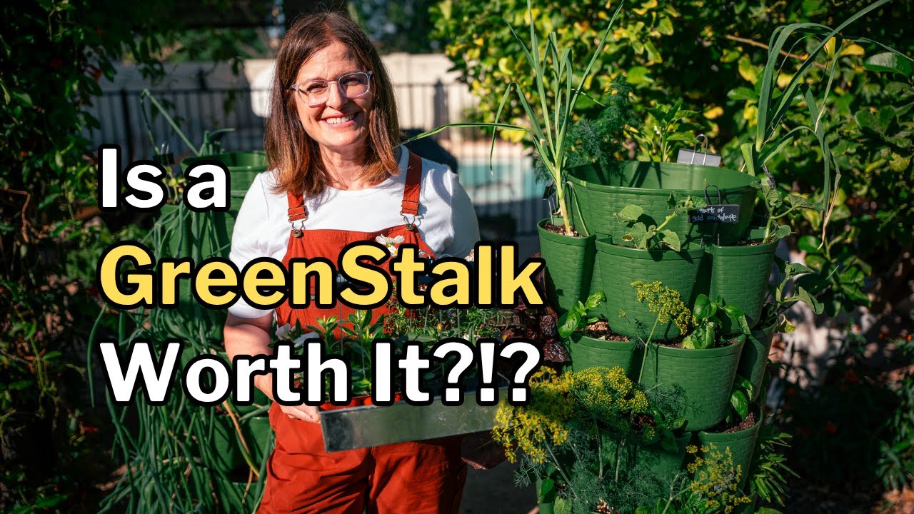 GreenStalk GARDENING in a HOT CLIMATE: Tips, Set Up, Results