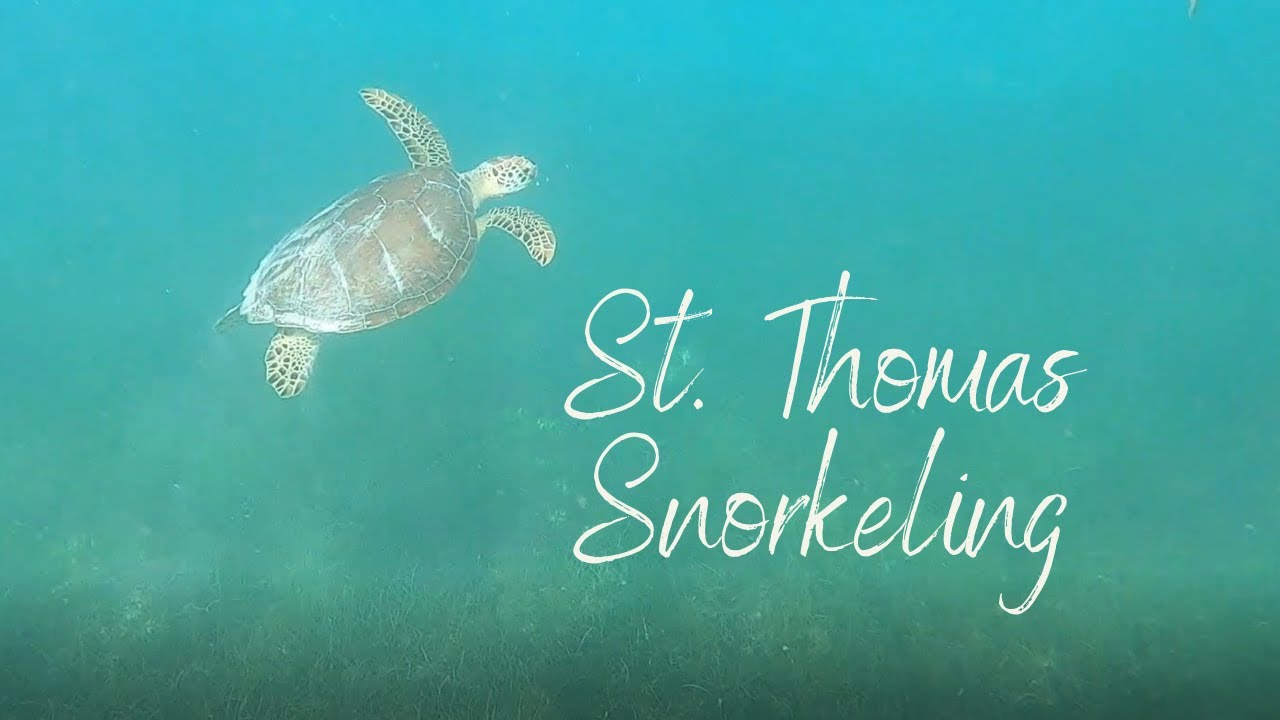 St  Thomas Snorkeling