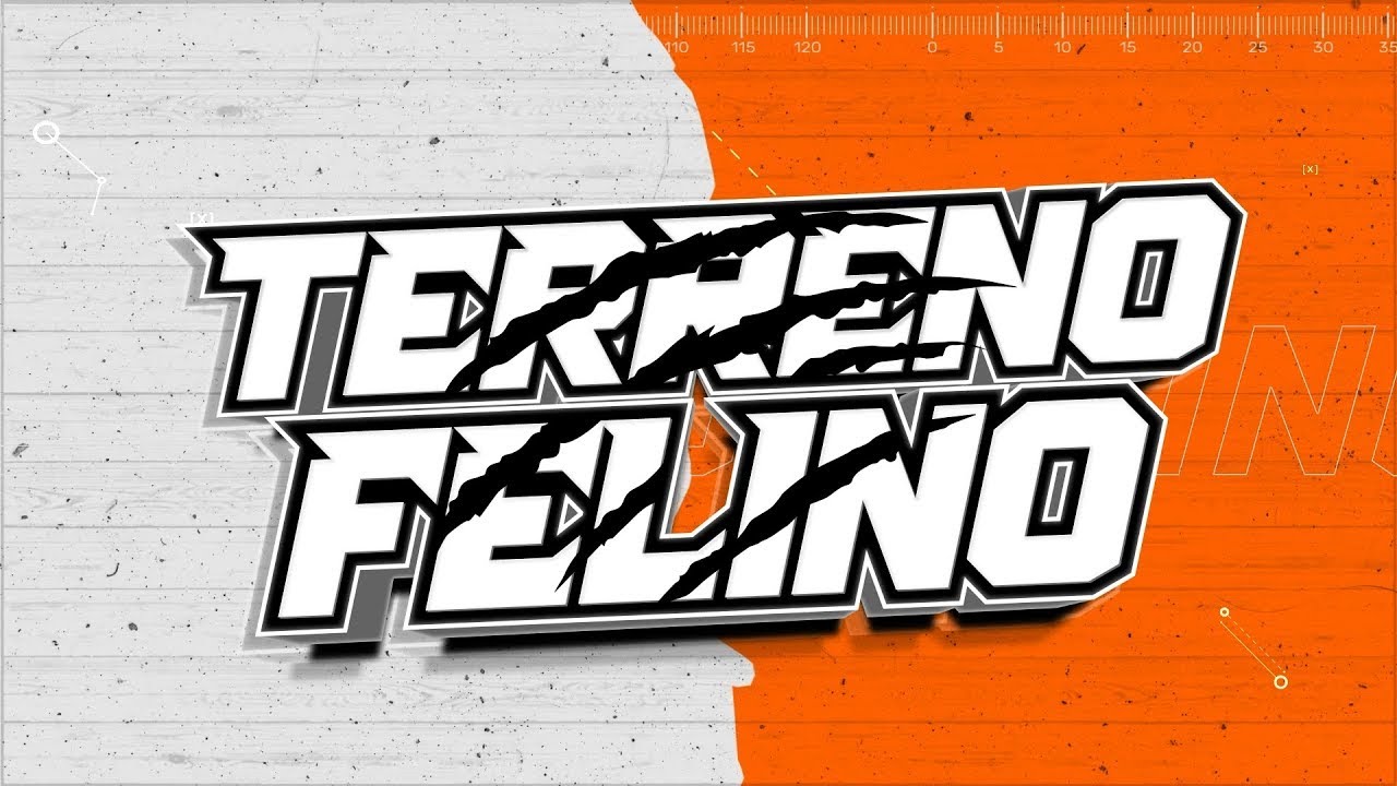 ¡Vuelve Terreno!, Recap de la WTA y más deporte | Terreno Felino