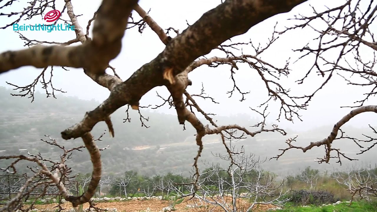 Saidoun-Jezzine Touristic Tour 2014