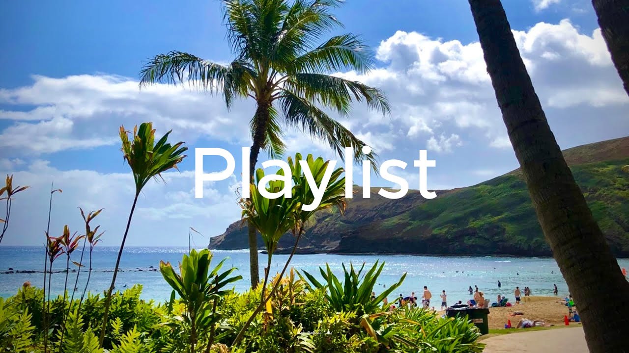 Ad-Free Summer Bossa Nova Guitar Playlist – Sunset Café, Scat Guitar, Healing Lounge Vibes
