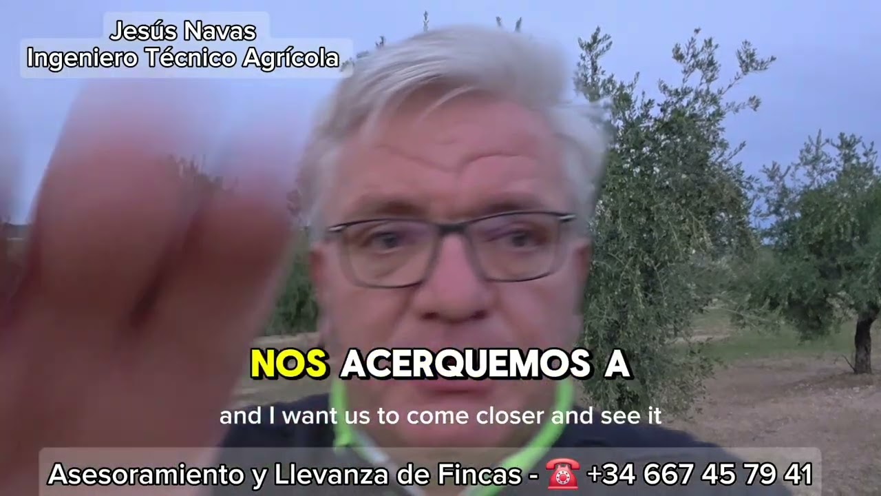 Que fué del Olivo con Verrugas❓