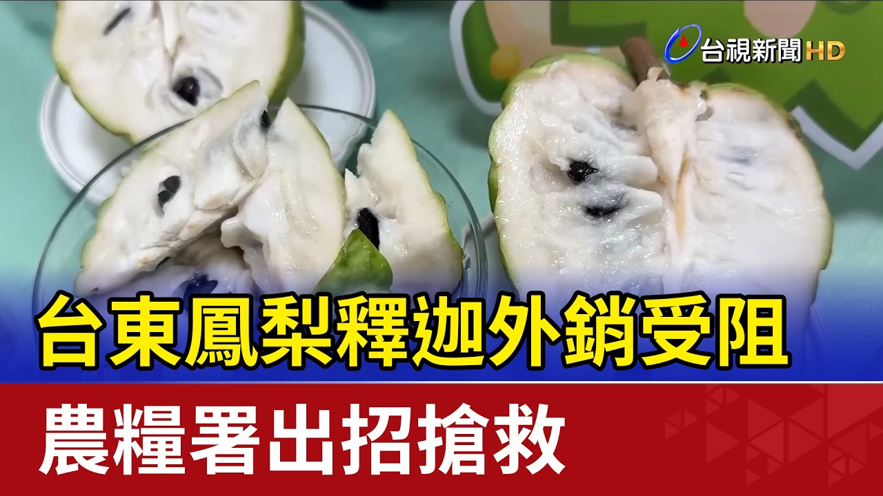 台東鳳梨釋迦外銷受阻 農糧署出招搶救