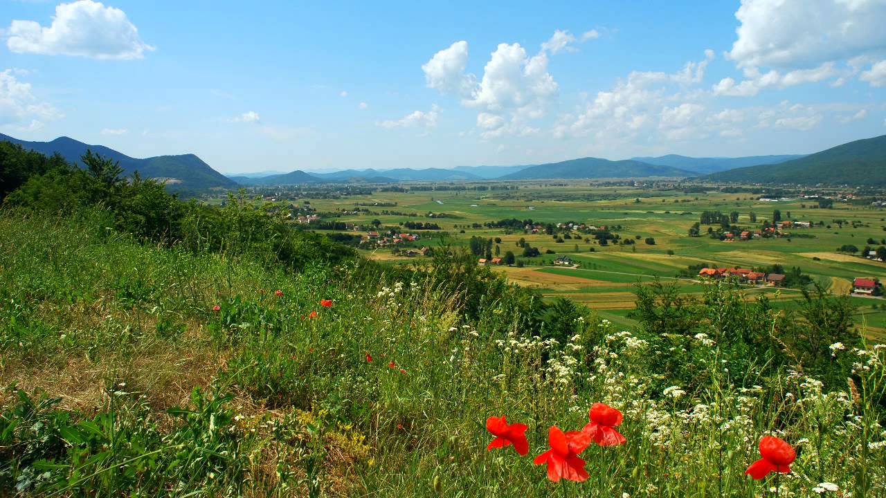Vukosav Govedarica Kota - Pjevaj Hercegovino