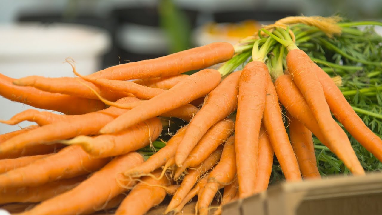 L'épicerie | Cuisiner les fruits et légumes sans gaspiller