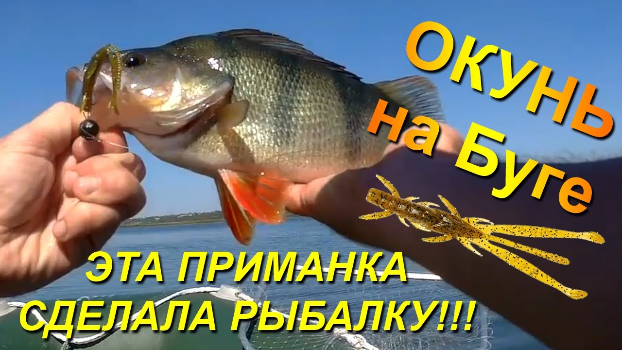 ЭТА ПРИМАНКА СДЕЛАЛА РЫБАЛКУ!! Ловля ОКУНЯ на Южном Буге, Ольшанское.