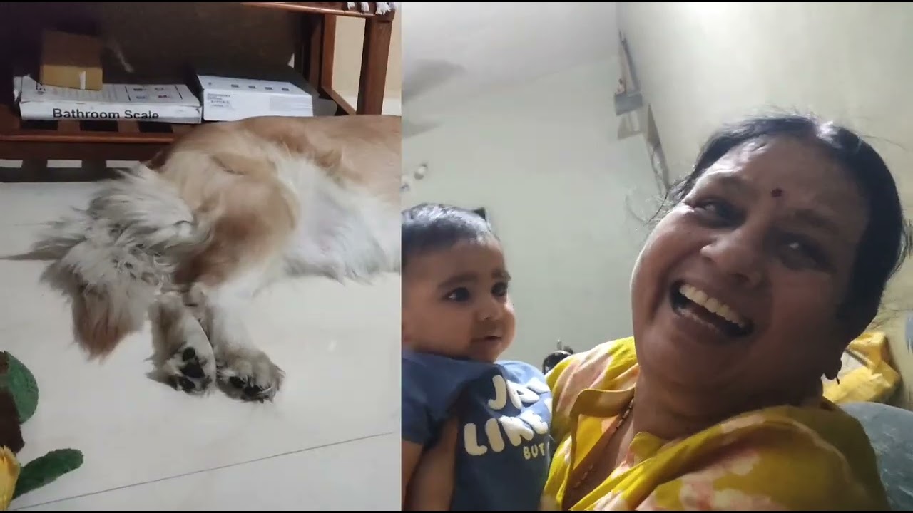 Yash apni dadi ko dekh k rone lga🥰🥰