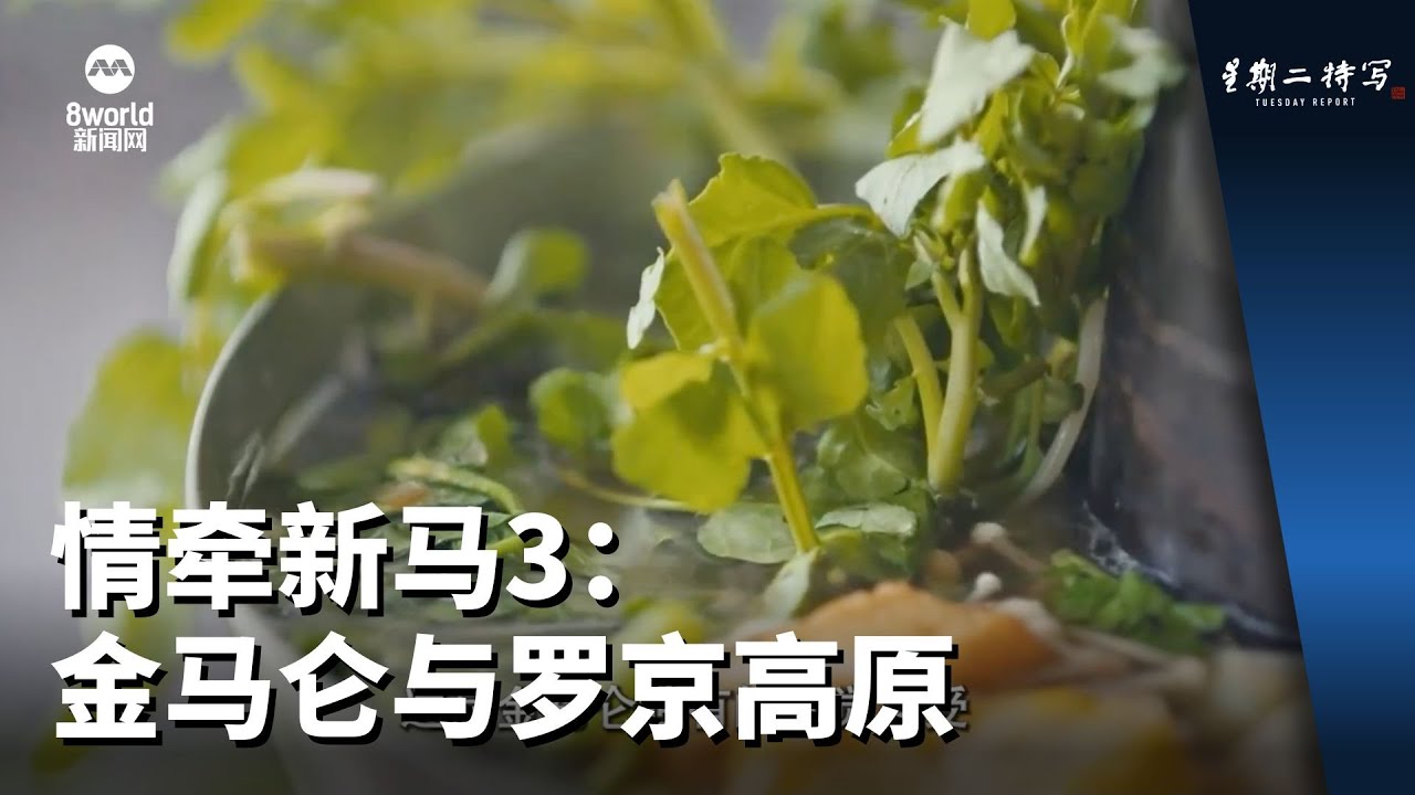 星期二特写 | 情牵新马3：金马仑与罗京高原