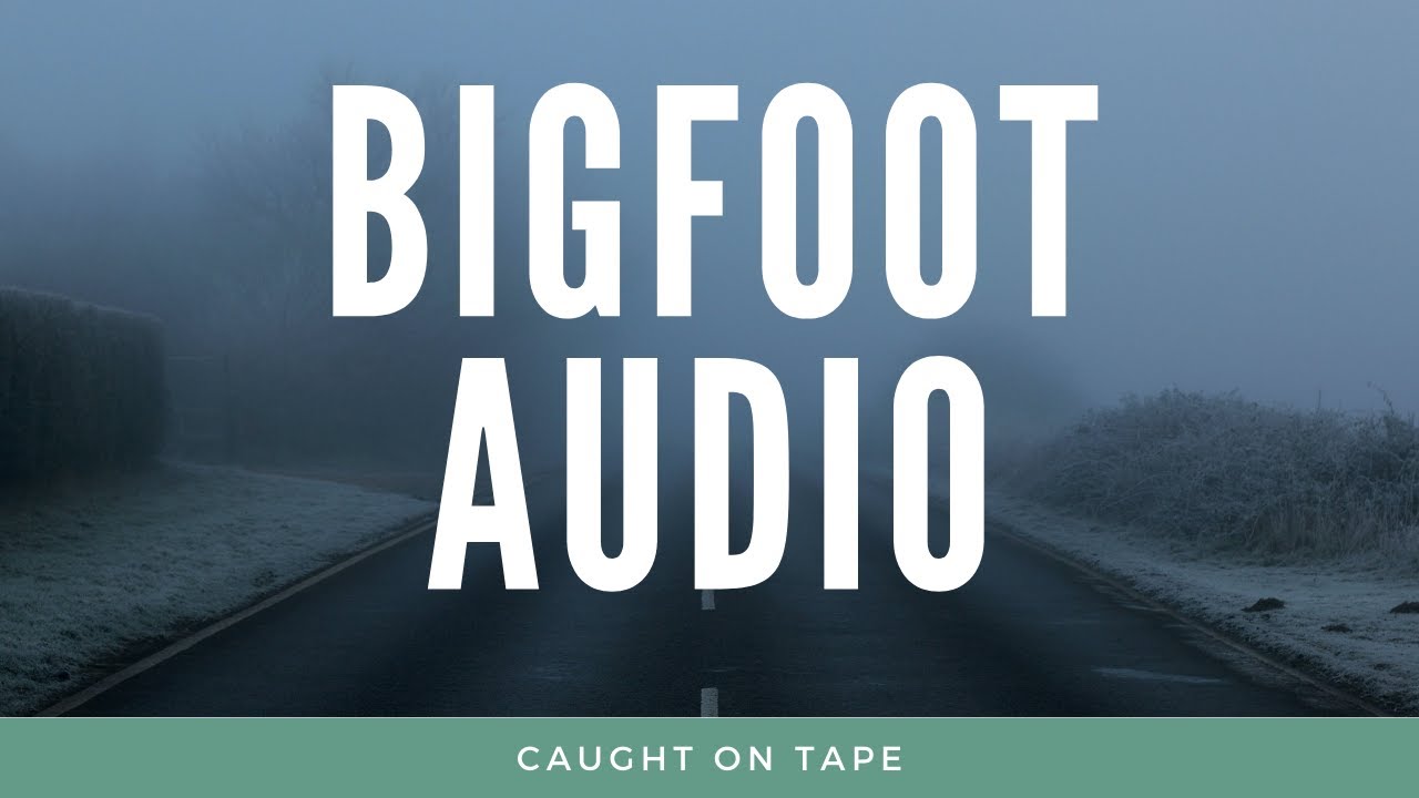 Top 10 Bigfoot Real Audio Clips 2025 | Sasquatch howls, screams and whoops