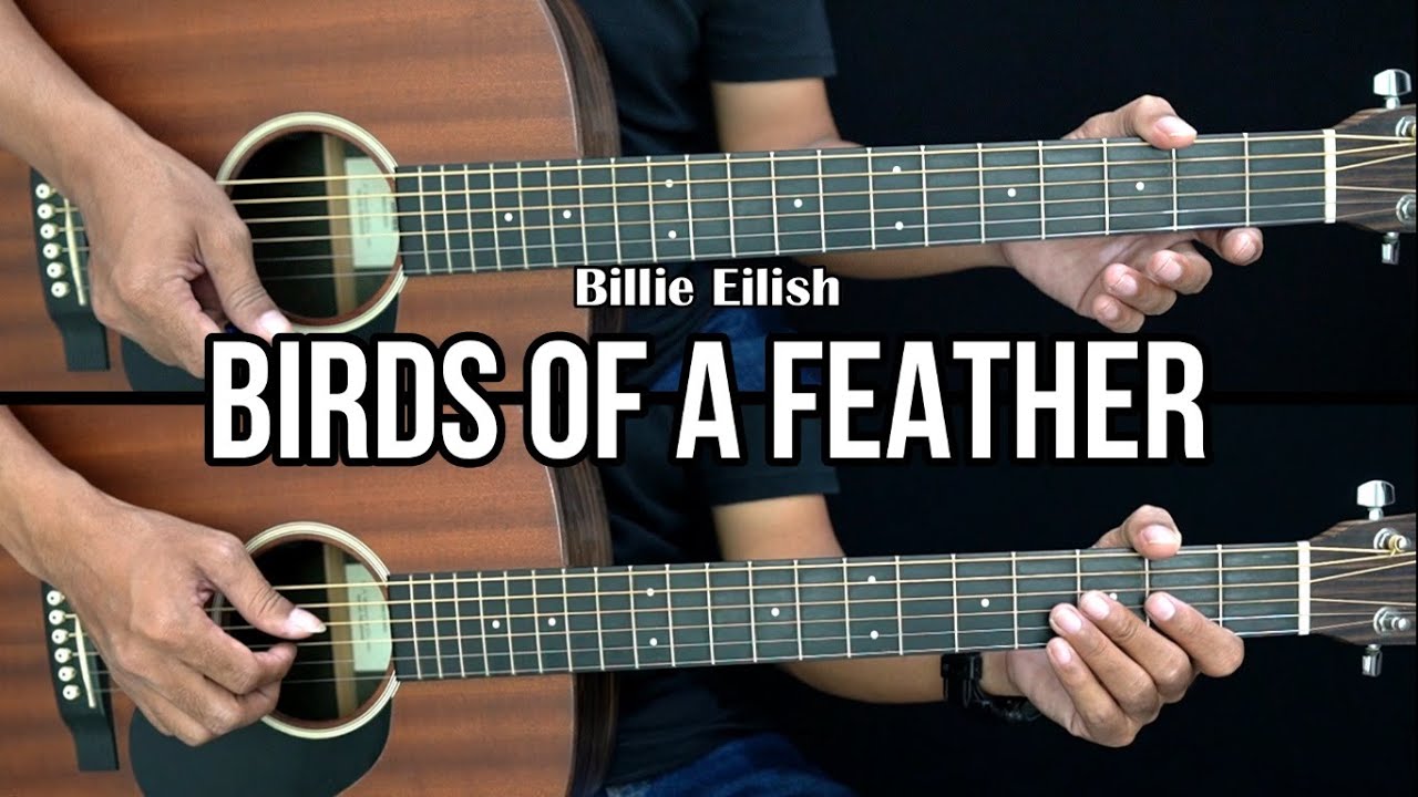 Birds of a Feather - Billie Eilish | EASY Guitar Tutorial - Guitar Lessons