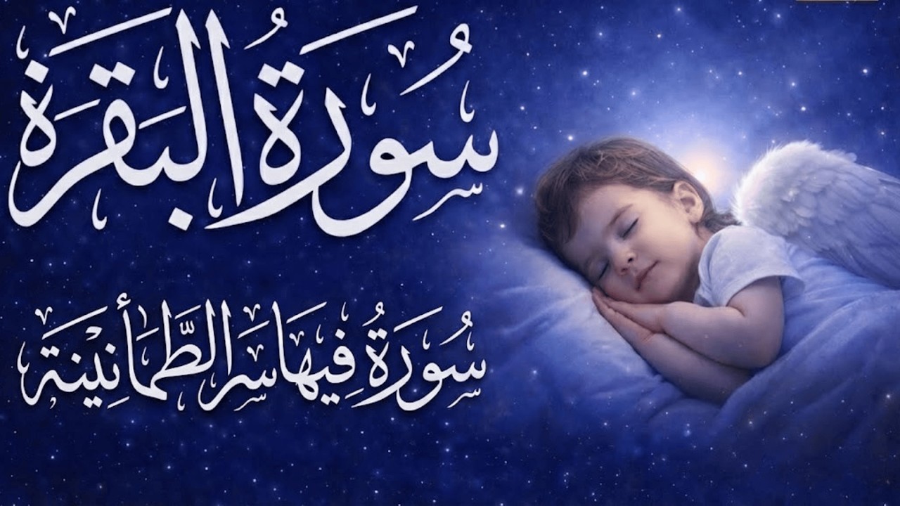 سورة البقرة  تلاوة تبعث الطمأنينة | بصوت أحمد الشلبي