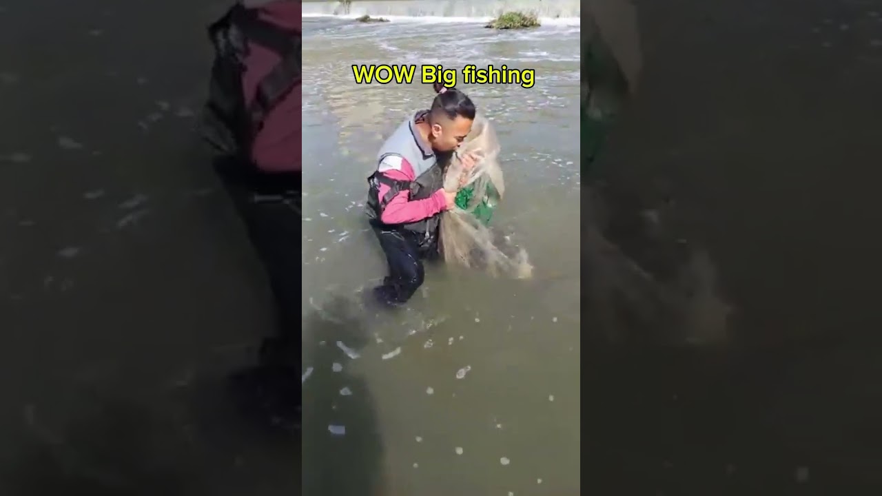 Amazing Cast net fishing, traditional cast net fishing,