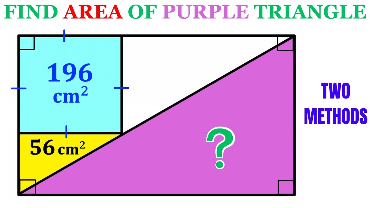 Can you find area of the Purple Triangle? | (Important Geometry skills explained) | #math #maths