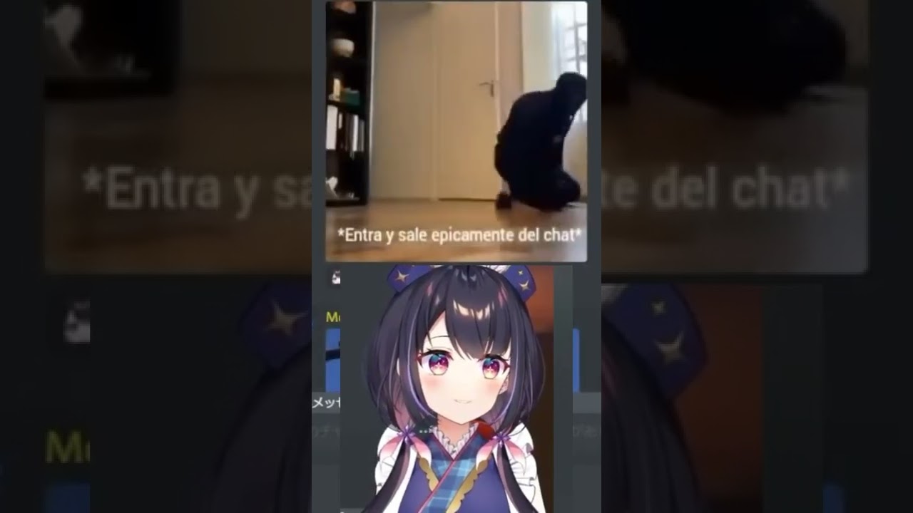 El que Entra y Sale de Chat🤨 FACHERAMENTE😎 - Hina Misora