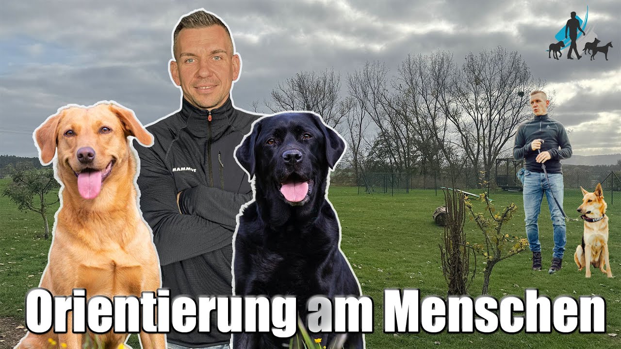 Die Orientierung am Menschen