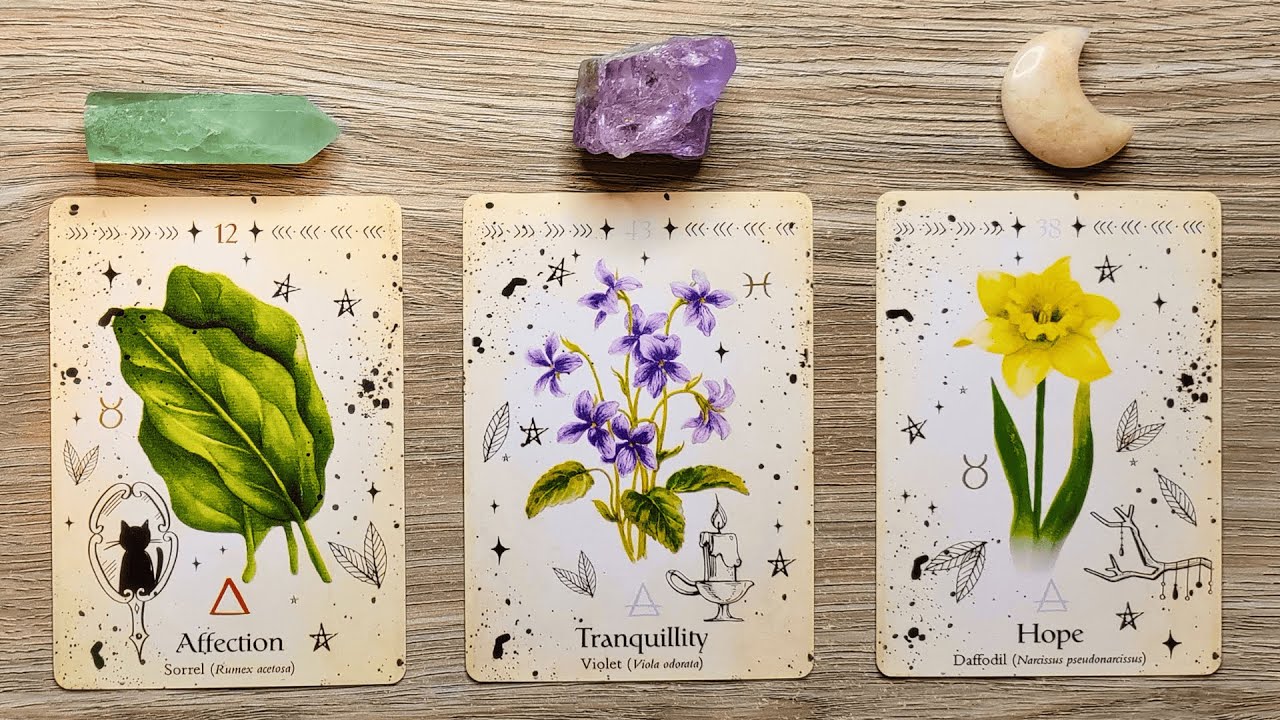 🎉YOU'RE ABOUT TO CELEBRATE SOME GOOD NEWS! 🌈📨🍀 Pick A Card 🔮✨ Timeless Tarot Reading