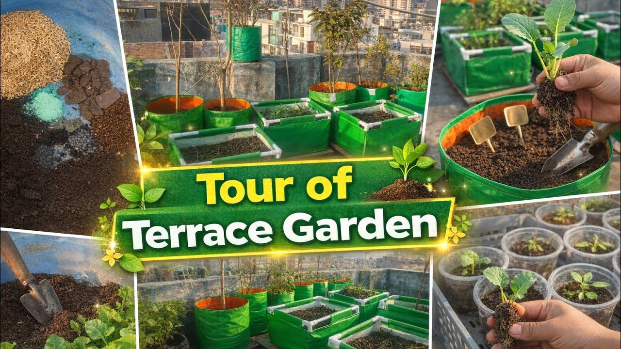 The Ultimate Garden Tour: 35+ Vegetable and Fruits Varieties & Growing Tips!