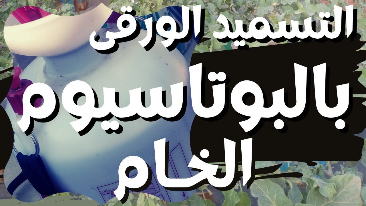 بوتاسيوم خام | إستخدام محلول سماد البوتاسيوم العضوى فى التسميد الورقى للنباتات