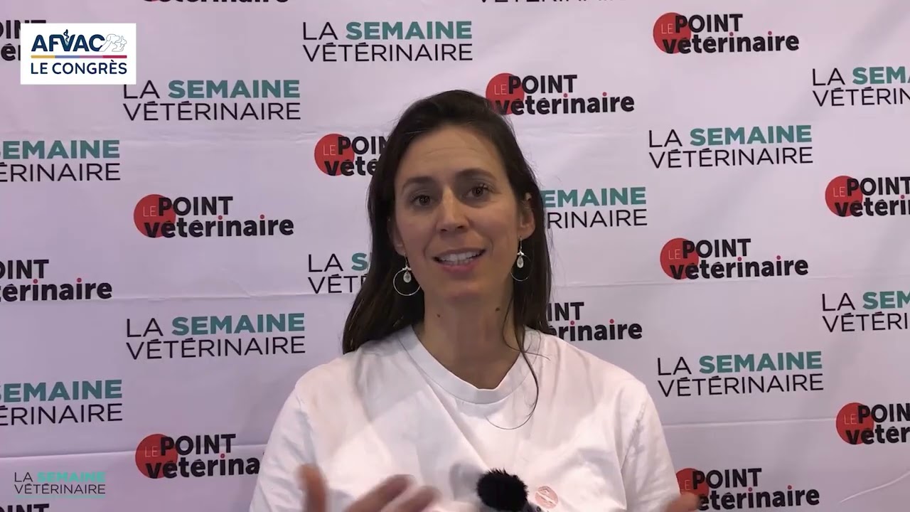 Accompagner le deuil animal : les 3 étapes clés pour praticiens et ASV