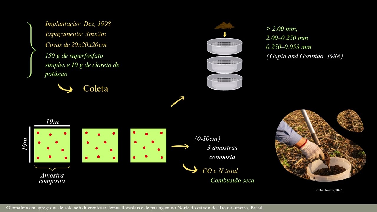 Apresentação Microbiologia Laiane