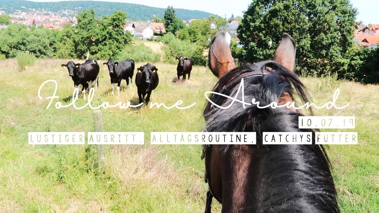 XXL FMA | lustiger Ausritt - Alltagsroutine - Catchys Futter | 10.07.19