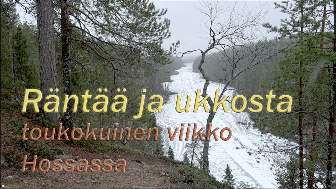 Räntää ja ukkosta toukokuisessa Hossassa 2025