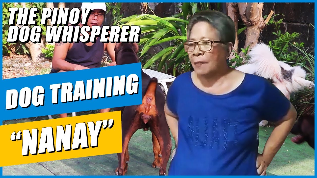 5 Dog Training Techniques my Mother taught me